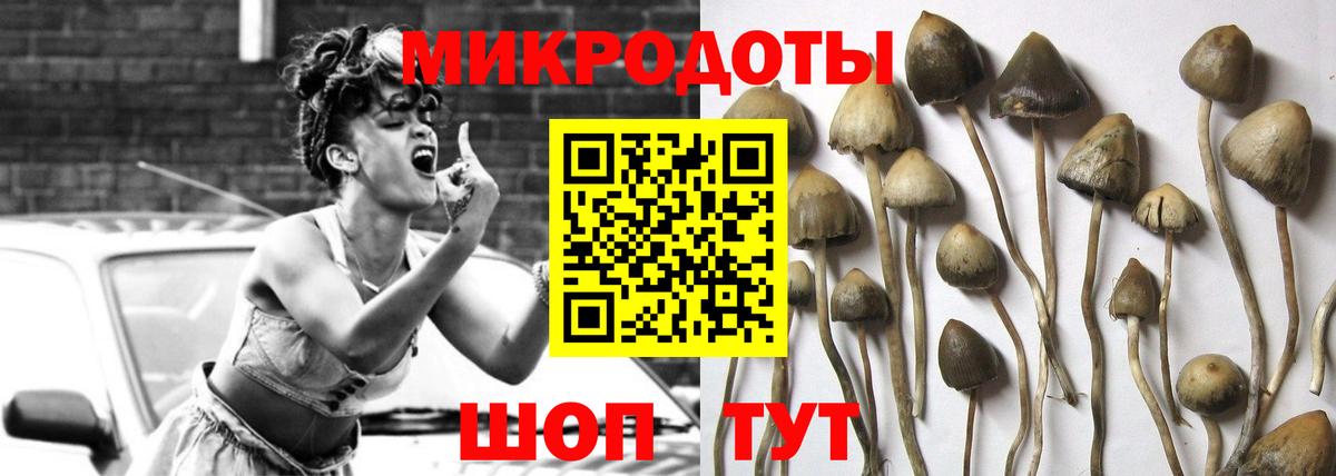 Корсаков  Галлюциногенные грибы Psilocybe  как найти наркотики  Псилоцибиновые грибы мухоморы  Вход с VPN 